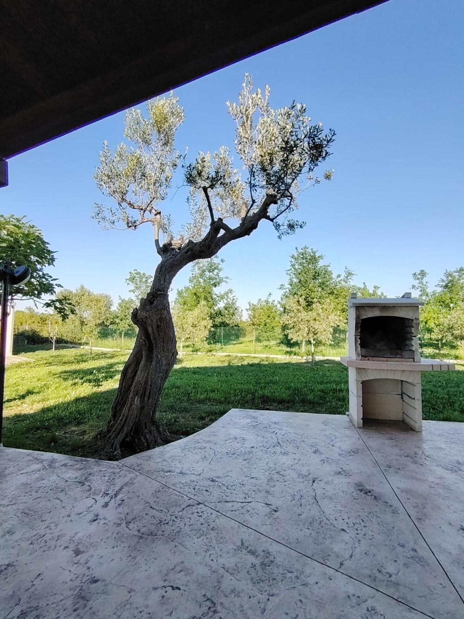 Casale Nel Verde San Vito Chietino Esterno foto